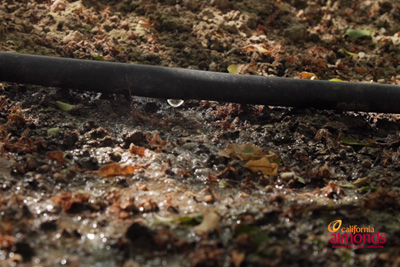 Irrigation Tools - Video