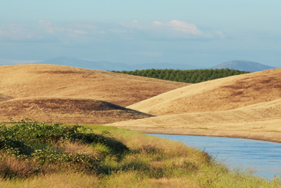 Water and Irrigation