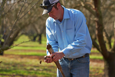 Soil Health & Nutrients