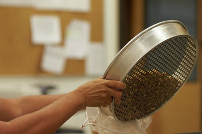 Processing Safe Product