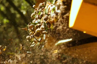 Dust Reduction Tools - Video