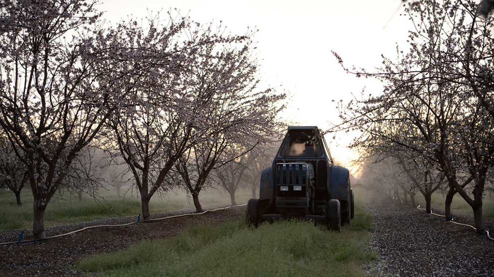 MRL PHOTO.jpg 