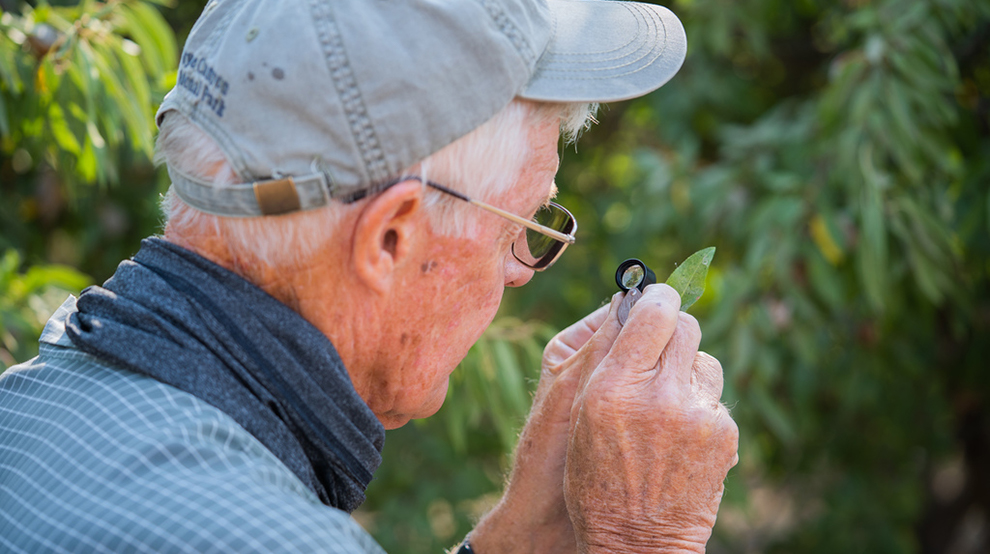 Pests, Weeds Take Center Stage During TAC Sessions