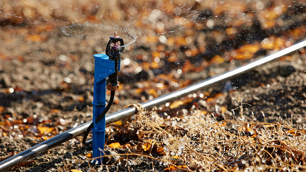 NRCS CSP Article Image.png