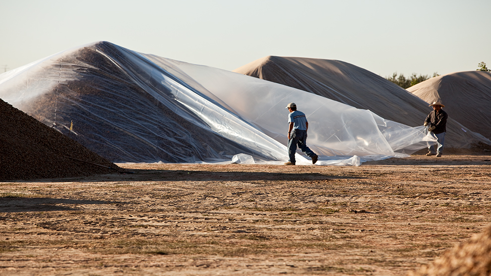 JK_Fumigation_Stock__Pile_006.jpg 