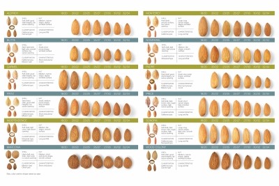 CA Almond Characterization