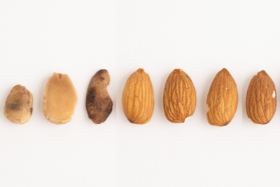 Lipid Oxidation and Oil Migration