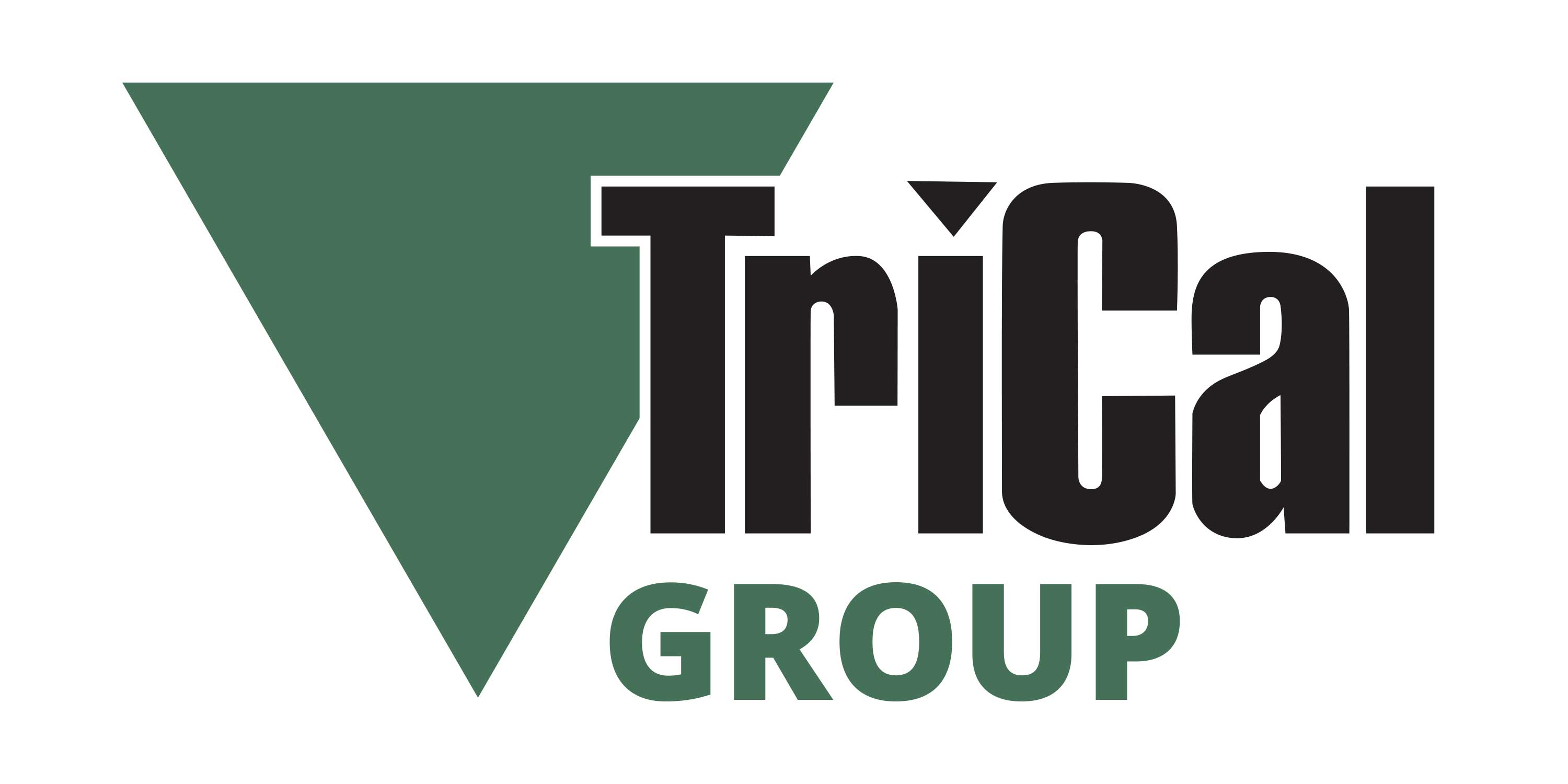 Bronze Sponsor