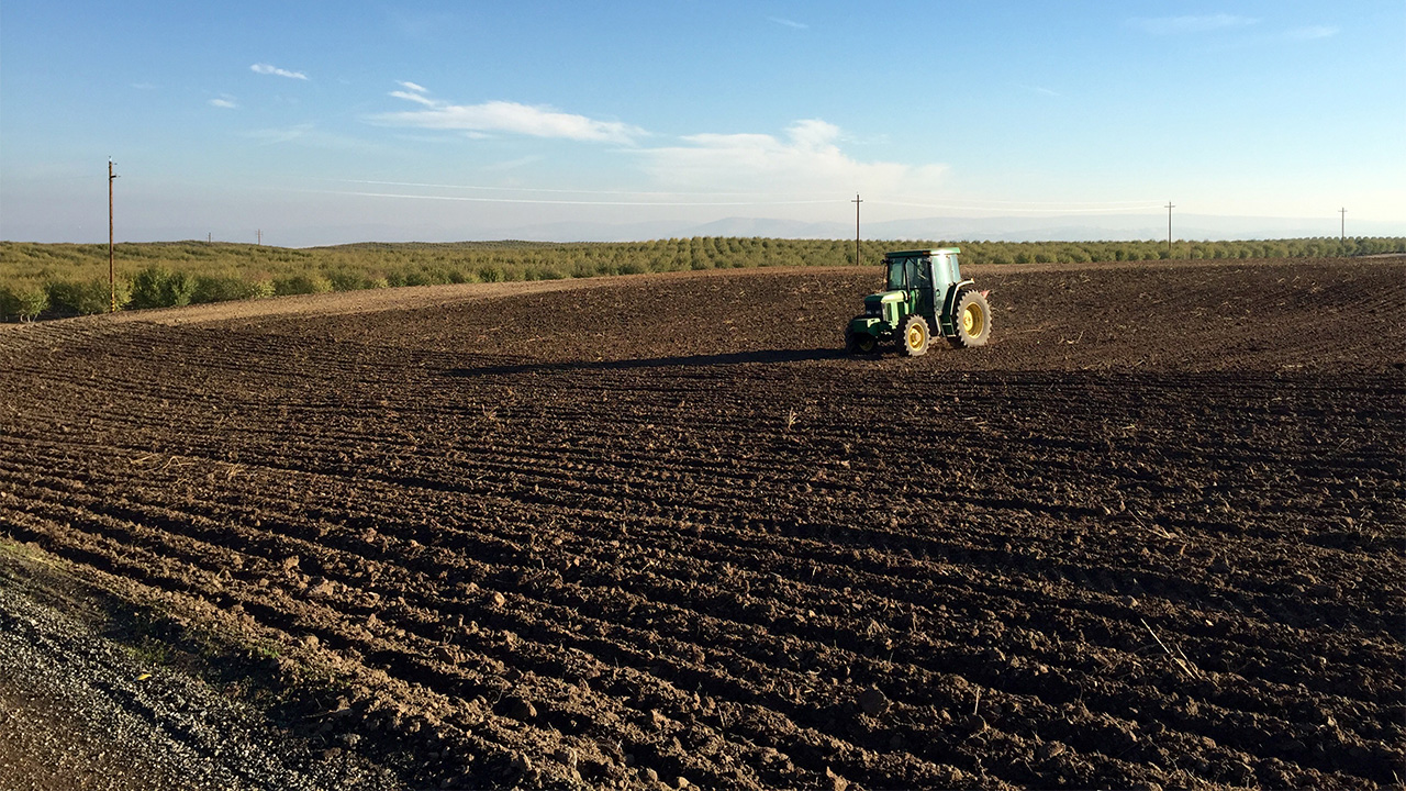 Empty field waiting for replanting