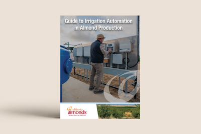 Guide to Irrigation Automation