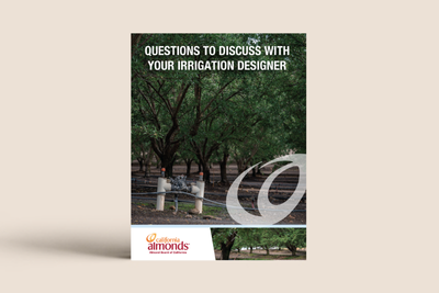 Questions to Discuss With Your Irrigation Designer