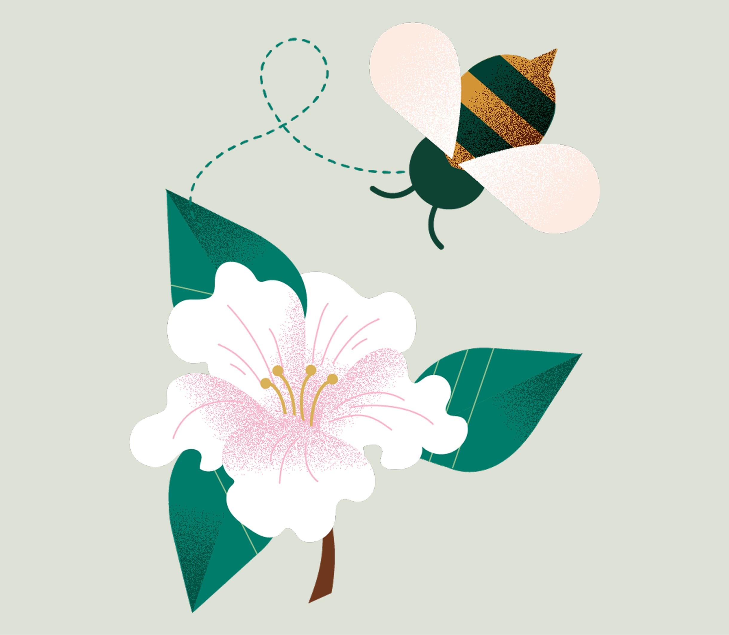 Illustration of a bee flying above a white flower with pink accents and green leaves, representing pollination and biodiversity.