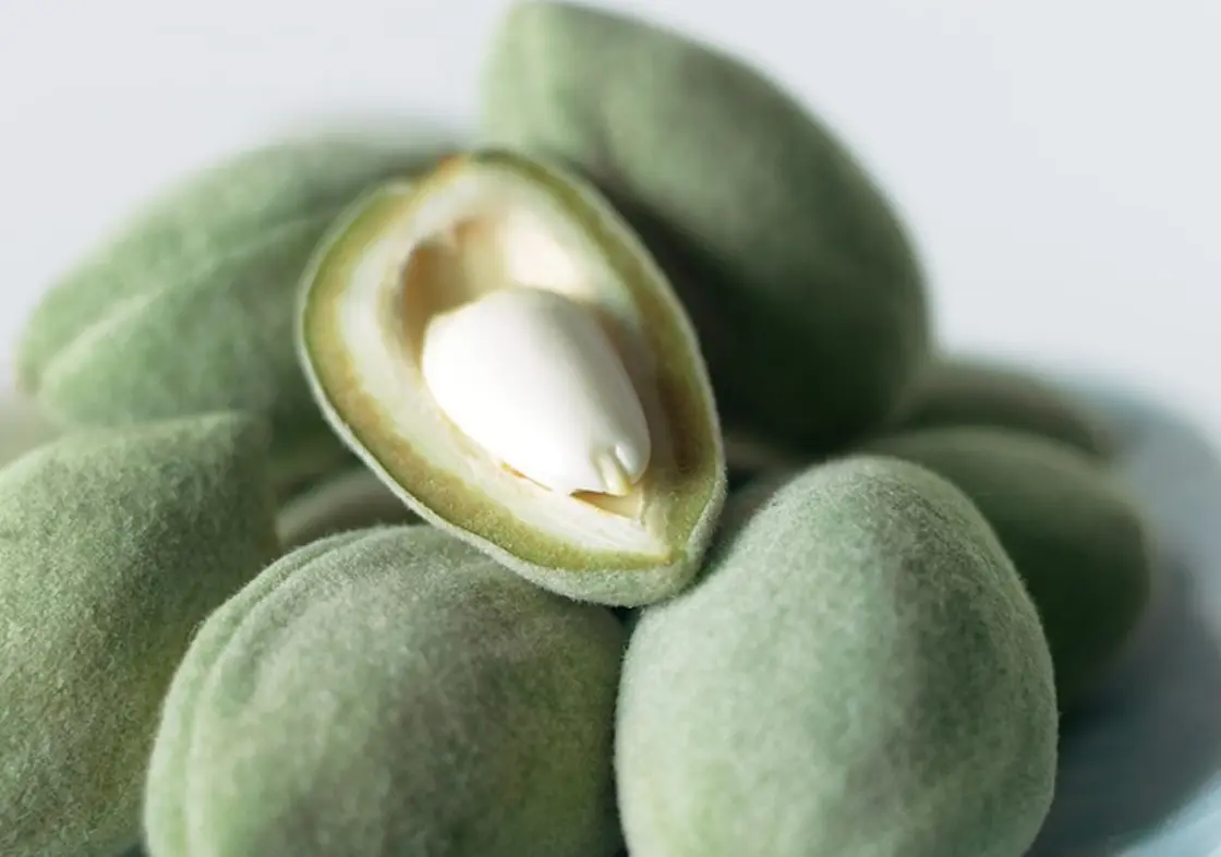 green almonds