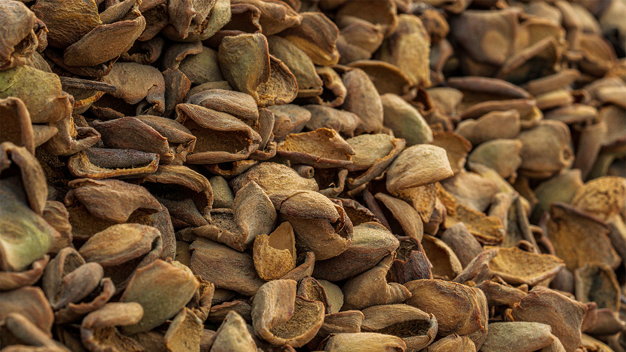 Almond Hull Pile Closeup