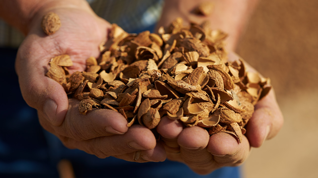 Artefact and Almond Board of California Announce Partnership Advancing a New Era of U.S. Bio-Based Product Manufacturing Powered by California Almond Shells