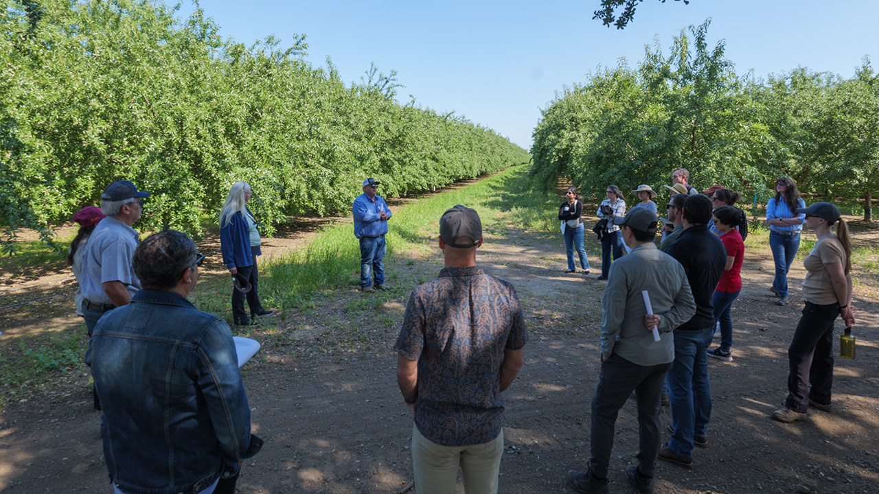 Regulators in the almond orchard