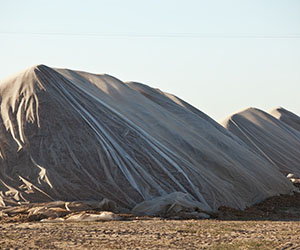 Stockpile with clear tarp