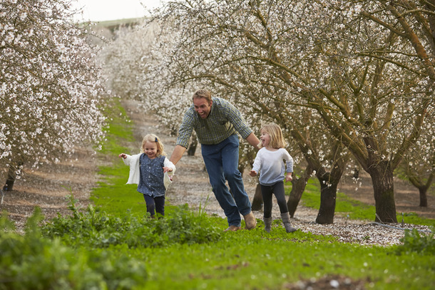 Family walking through almond orchard with blooming trees