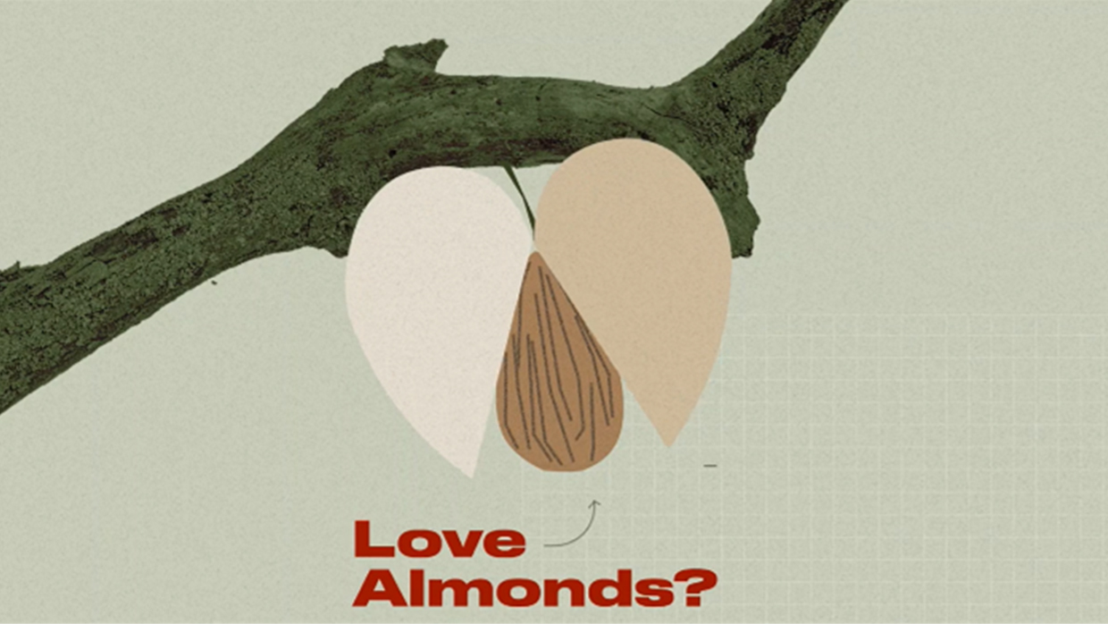 Love almonds Vox
