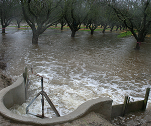 Flood irrigation for groundwater recharge