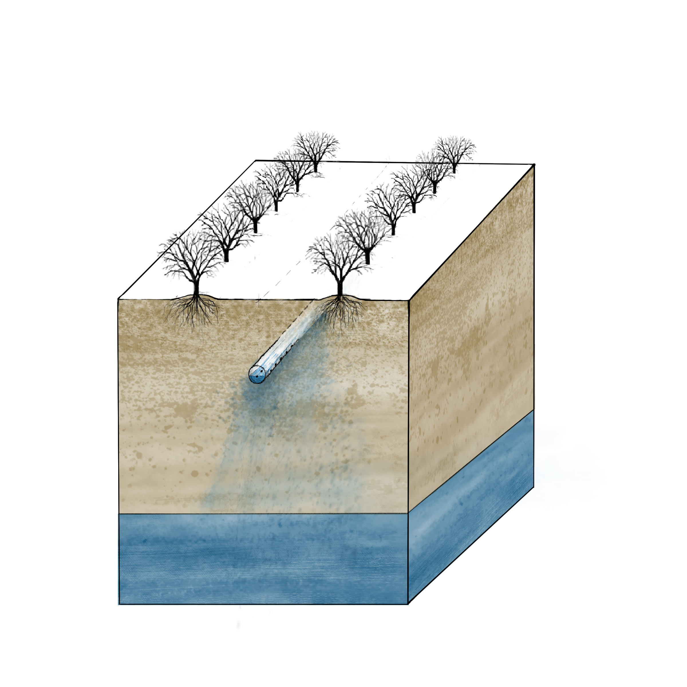 Groundwater Recharge
